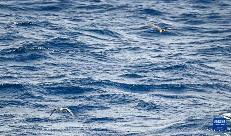 10? ???? ?? ???? ??? ?? ??? [?? ??: ???]