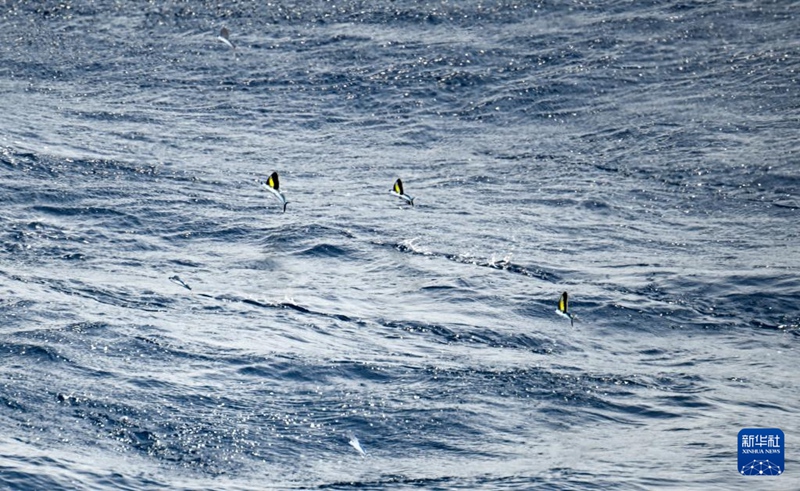 10? ???? ???? ??? ?? [?? ??: ???]