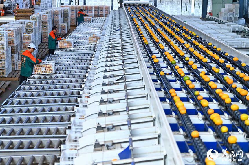 ???? ???? ????? ? ???? ???? ??? ??? ??? ???? ?? ???? ??? ??? ??, ??, ?? ??? ????.