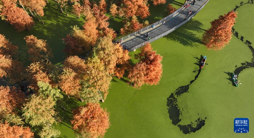 ??? ‘?? ?’? ???? ???? [11? 28? ?? ??/?? ??: ???]