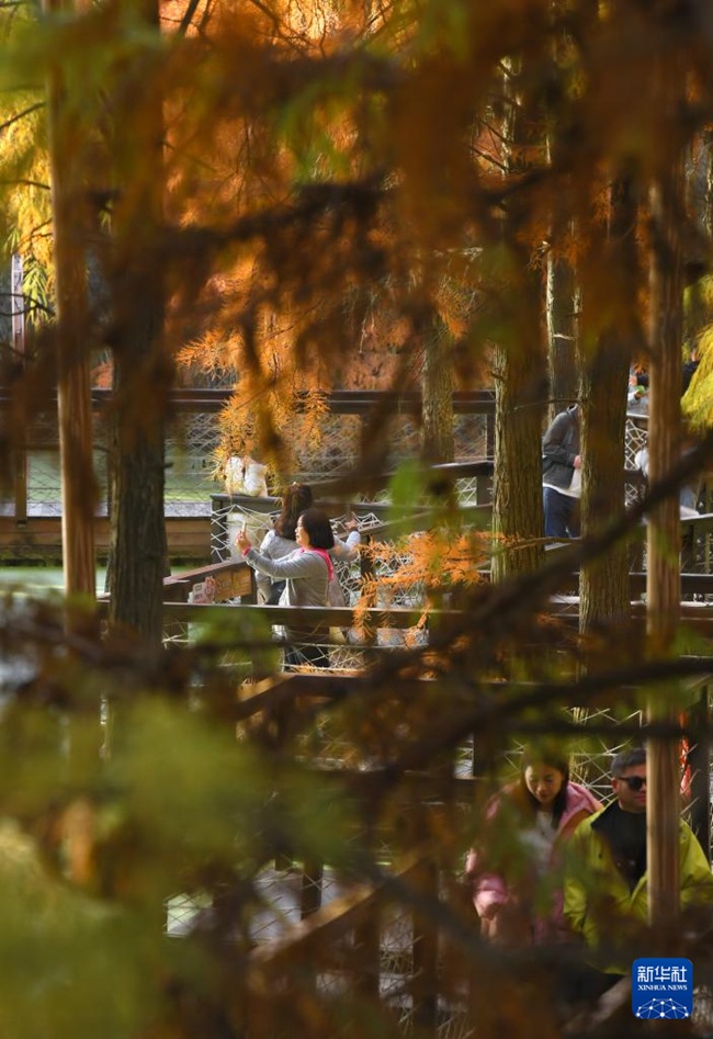 ??? ‘?? ?’? ?? ???? ??? ???? ???? [11? 28? ??/?? ??: ???]