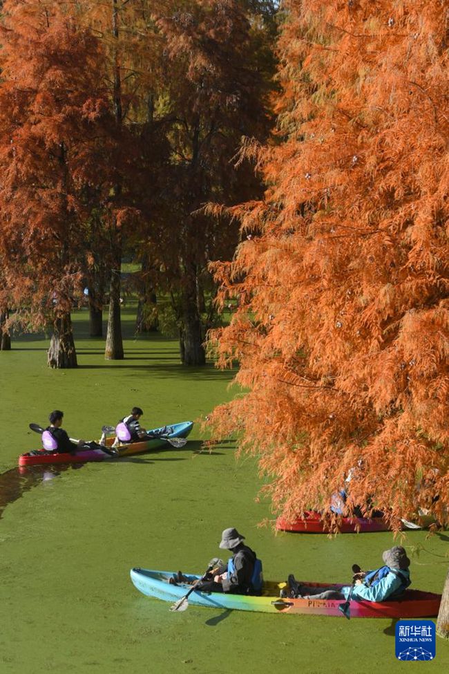 ??? ‘?? ?’?? ???? ?? ?? ???? [11? 28? ??/?? ??: ???]