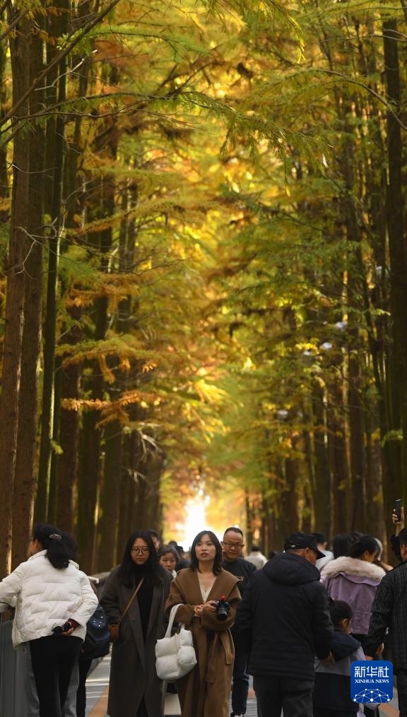 ??? ‘?? ?’? ?? ???? ??? ???? ???? [11? 28? ??/?? ??: ???]