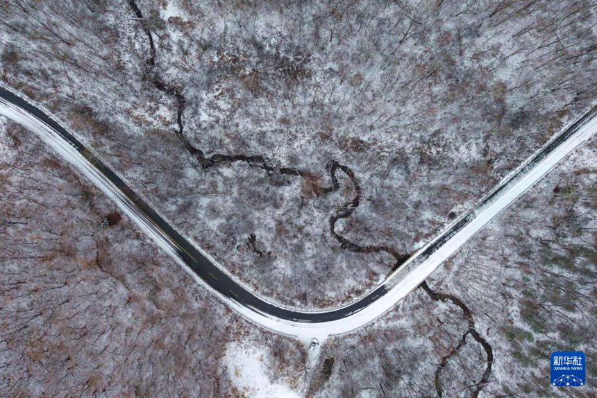 G331 ?? ??? ?? ??? ?? ? ?? [11? 6? ?? ??/?? ??: ???]