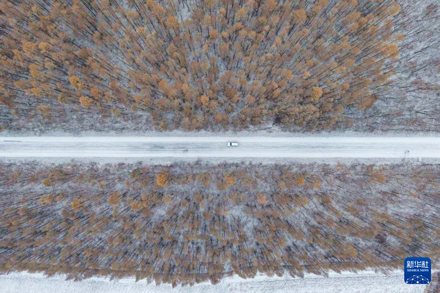 G331 ?? ?? ??? ?? ? ?? ??? ???? ?? [11? 6? ?? ??/?? ??: ???]