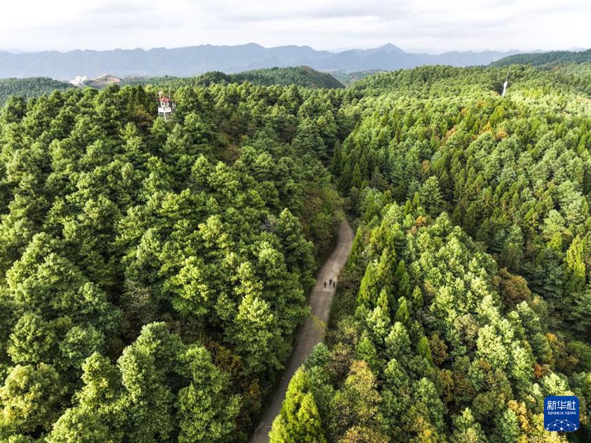 ??(???), ??(??), ?? ???? ??? ???? ?? ???. [11? 13? ??/?? ??: ???]