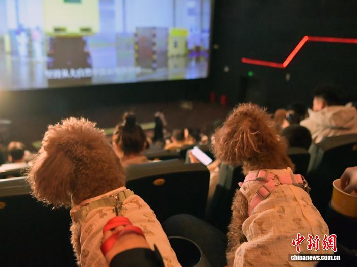 中 ??? ???, ??? ‘???? ?? ??’ ?? ?? ??? ??