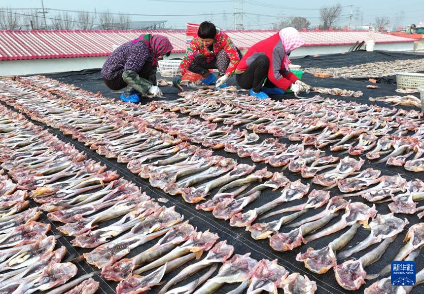 ??? ??, ??? ??? ?? ?? ??