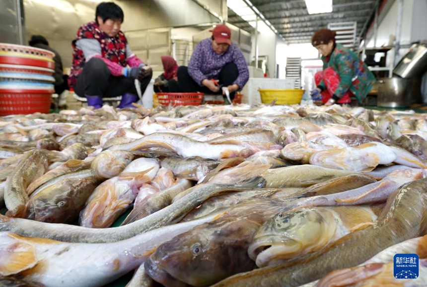 ???? ??? ???? ??. [11? 30? ??/?? ??: ???]