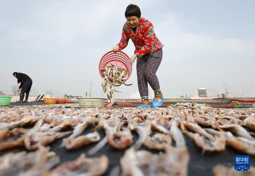 ???? ???? ???? ??. [11? 30? ??/?? ??: ???]