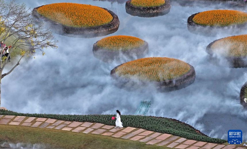 ??? ??? ?????? ???? ?? ???? ??? [11? 26? ?? ??/?? ??: ???]