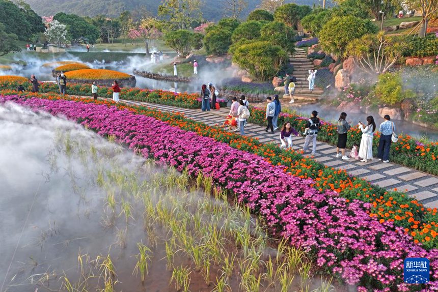 ??? ??? ?????? ?? ???? ???? [11? 26? ?? ??/?? ??: ???]