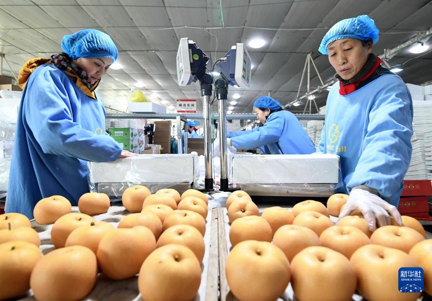 ???? ? ?? ?? ??? ? ?? ?? ???? ????? ??? ??. [12? 8? ??/?? ??: ???]