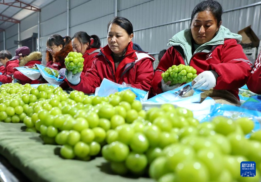 ???? ? ?? ?? ??? ?? ?? ????? ????? ??? ??. [12? 8? ??/?? ??: ???]