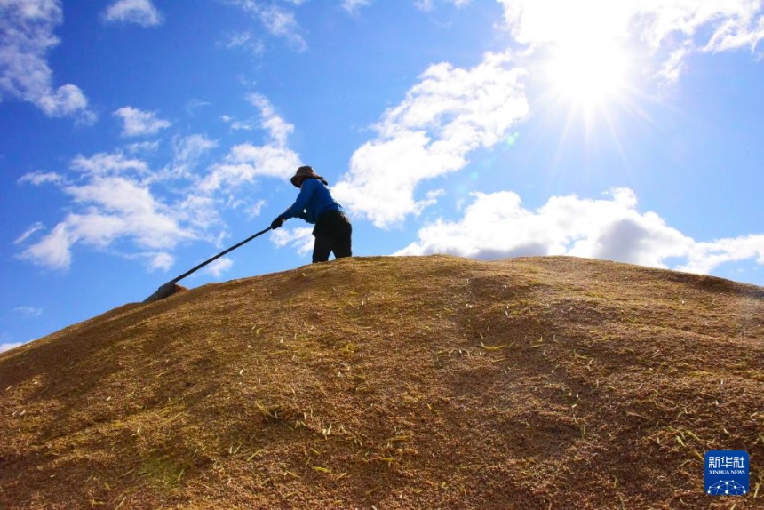 ????(北大荒)?? ???? ???(綏濱)?????? ??(東井)???? ?? ????? ??? ??? ?? ?? ??. [10? 8? ??/?? ??: ??(李興)]