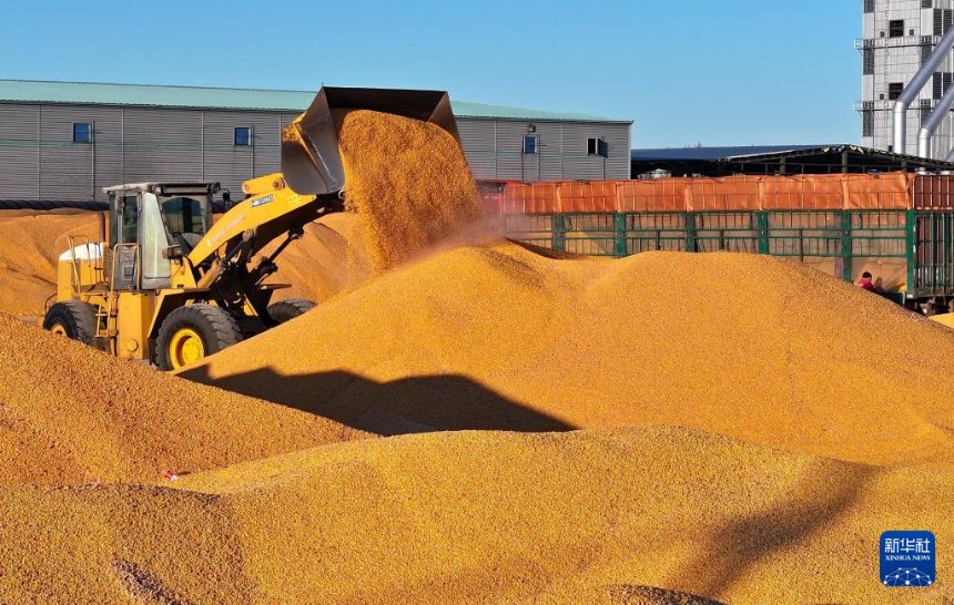 ?????? ???(北安)?? ??(龍鎮(zhèn))?????? ?? ??????? ??? ???? ??? ???? ???? ???.  [10? 14? ?? ??/?? ??: ???(錢泊羽)]