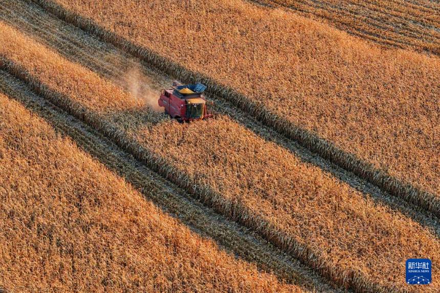 7? 1487?t ??! 2025? 中 ?? ???