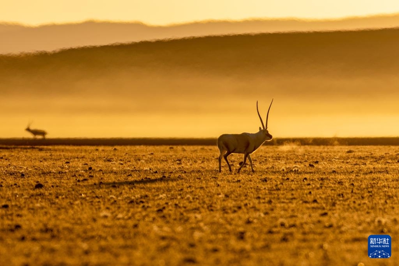 ?? 4? ?? ??? ??????? ??? ???