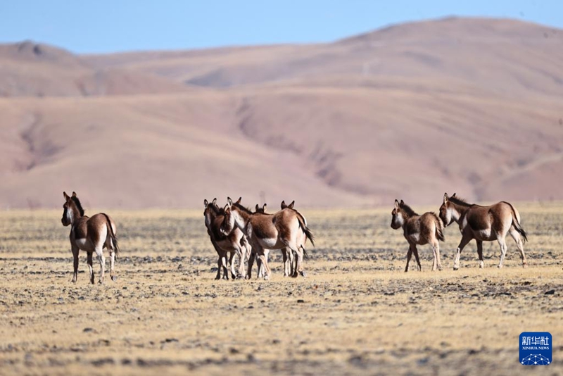 ?? 1? ?? ??? ??????? ??? ???