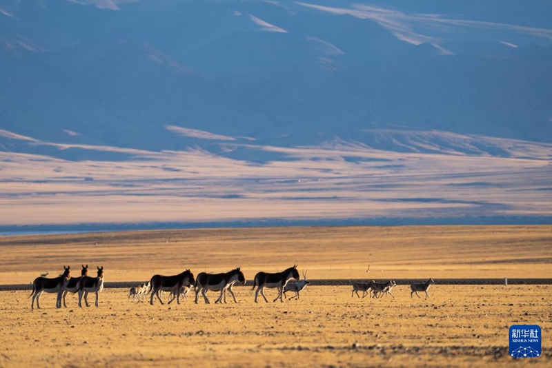 ?? 3? ?? ??? ??????? ??? ???? ???