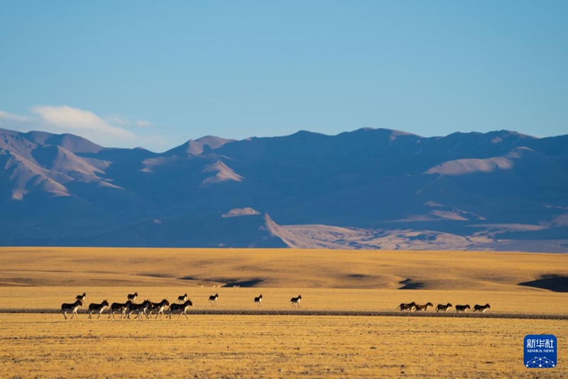 ?? 3? ?? ??? ??????? ??? ???