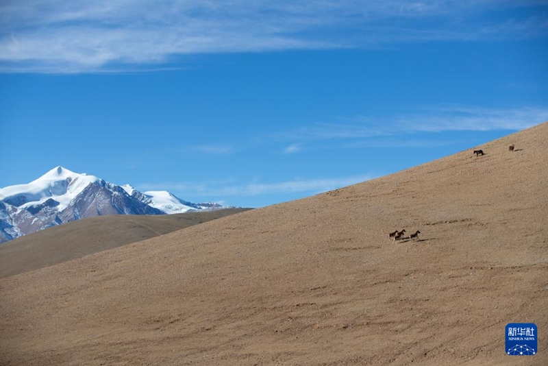 11? 30? ?? ??? ??????? ??? ???