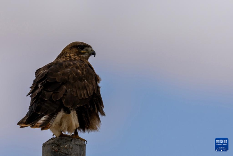 6? 6? ?? ??? ??????? ??? ?????