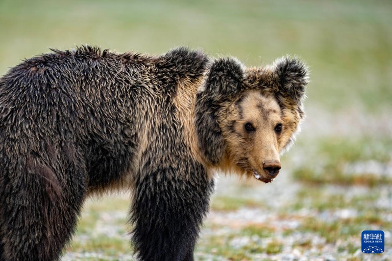 7? 16? ?? ??? ??????? ??? ??