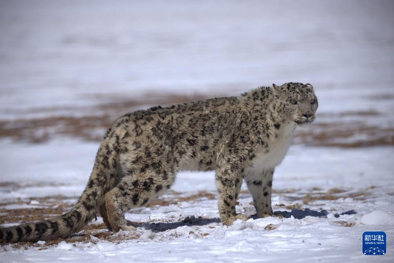 3? 24? ?? ??? ??????? ??? ???