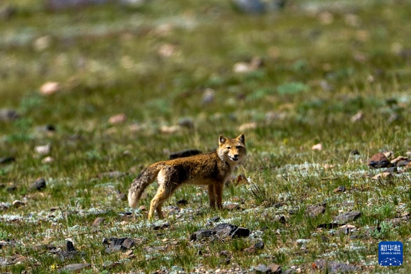 7? 16? ?? ??? ??????? ??? ??