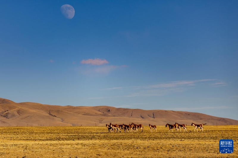 ?? 1? ?? ??? ??????? ??? ???