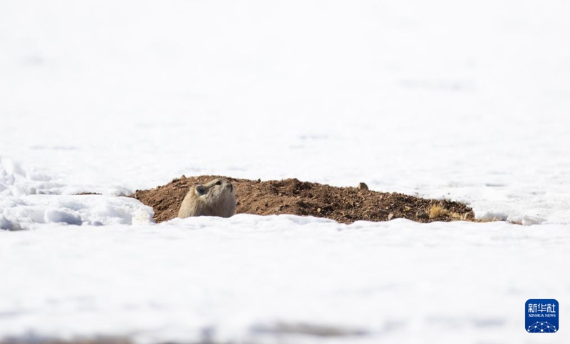 11? 30? ?? ??? ??????? ??? ????