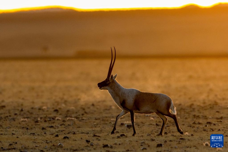 ?? 4? ?? ??? ??????? ??? ???