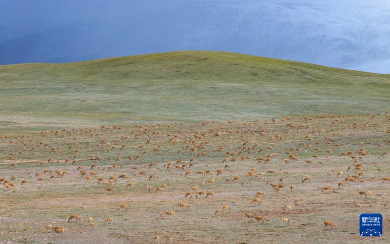 7? 14? ?? ??? ??????? ??? ??? [???? ??]