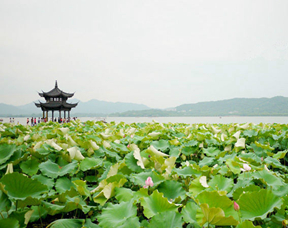 ??? ?? ??,『???(杭州)? ??』